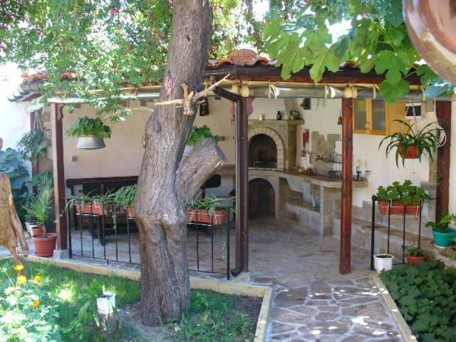 Guest House Alex Tschernomorez Exterior foto